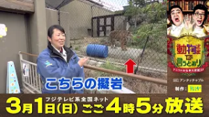 『動物さまの言うとおり　アニマルお仕事大図鑑SP』番宣15秒　スゴ技！エキスパート企業編