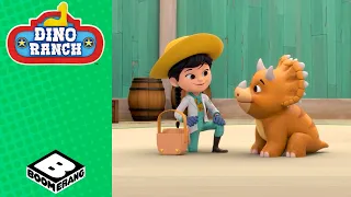 A Special Guest Disrupts the Ranch Routine | Dino Ranch | Boomerang Italy