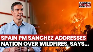Spain Wildfires: PM Pedro Sánchez Visits Emergency Crews Battling Madrid Blaze, Addresses Nation