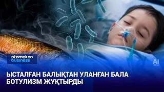 Ысталған балықтан уланған 9 жастағы баланың жағдайы ауыр