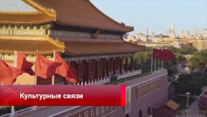 Успешный старт, культурные связи РФ и КНР, Китайский Новый год в Москве