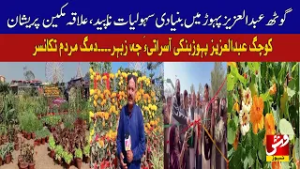 68th Flower Festival begins in Mirpurkhas, to continue until February 15 | Vsh News
