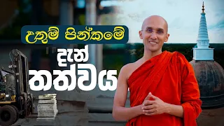 උතුම් පින්කමේ දැන් තත්වය