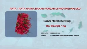 INFORMASI HARGA PANGAN HARIAN DI PROVINSI MALUKU - MHI 08/02/2026