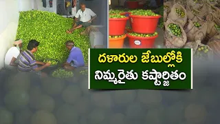 నెల్లూరు నిమ్మ రైతుల గోడు.. పంట పండిస్తున్నా లాభం దళారులకే!