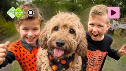 WIE WINT DE HALLOWEEN MODDERRACE? | Landje van Tim | NPO Zappelin