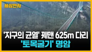 '지구의 균열' 꿰맨 625m 다리 ··· '토목굴기' 명암 [세상만사] #중국다리 #토목굴기 #화장대협곡대교