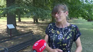 10 minuta: Oaza u Kragujevcu gde su letnje vrućine gotovo neprimetne