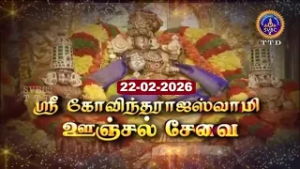 Sri Govindarajaswamy vari || Unjal seva || Tirupati || SVBC2 Tamil || 22-02-2026 || SVBC TTD