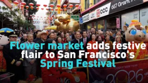 Flower market adds festive flair to San Francisco's Spring Festival