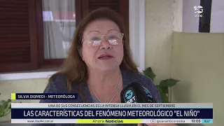 Super El Niño Effect in Córdoba: A "Very Hot and Stormy" Summer Forecast