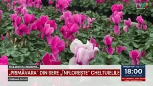 „PRIMĂVARA” DIN SERE „ÎNFLOREȘTE” CHELTUIELILE