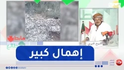 طالع هابط:  شاهد  .. كميات كبيرة من السردين تُرمى عشوائيًا