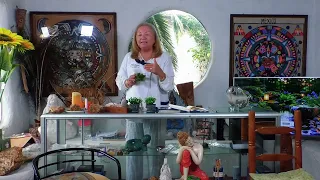Programa Vida Natural y los caminos de la vida, capítulo 8.