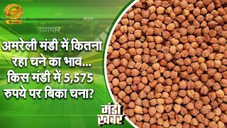 Mandi News: What was the price of chickpeas in Amreli market? In which market did chickpeas sell ...