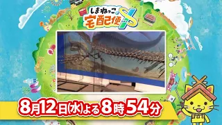 予告【しまねっこの宅配便X】8/12（水）放送「海竜大進化～恐竜時代の蒼き海へ～」