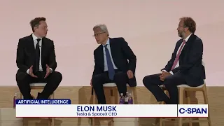 Elon Musk On Winning The AI Race