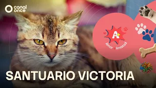 A + A - Victoria Sanctuary (07/25/2026)