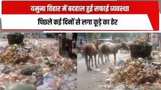 यमुना विहार में बदहाल हुई सफाई व्यवस्था, पिछले कई दिनों से लगा कूड़े का ढेर | TOTALTV