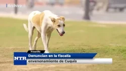 Denuncian en la fiscalia envenenamiento de Cuquis