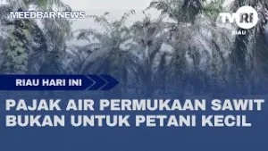 PAJAK AIR PERMUKAAN SAWIT BUKAN UNTUK PETANI KECIL