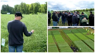 Brangiai kainuojančių klaidų ūkyje galima išvengti: kodėl ūkininkai renkasi lauko dienas?