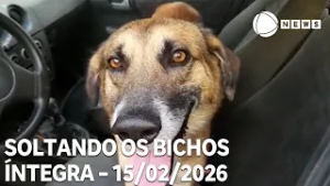 Soltando os Bichos - 15/02/2026