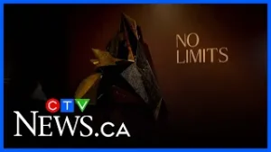 Toronto artist makes AGO debut with large exhibition