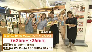 [Expect a Lineup!] "Harapeko Ai-chan’s White Marche" at AEON MALL KAGOSHIMA BAY!! ~Weekend Top Pi...