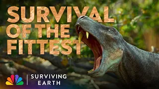 A Millennia of Animals Fighting to the Death | Surviving Earth | Docuseries | NBC
