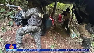 FFAA aseguran plantación de hoja de coca con al menos 11 mil arbustos en Colón