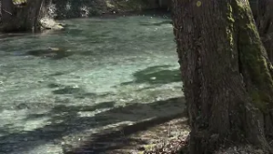 TV Informator  - VREME 03 03 2026