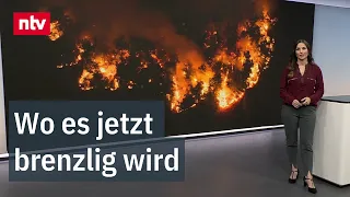 Wildfire Warning Levels – Where the Danger Is Highest | ntv