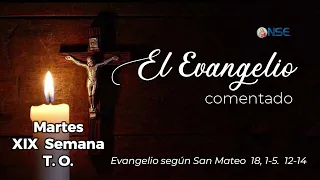 Gospel 📖 commentary August 11🕊️