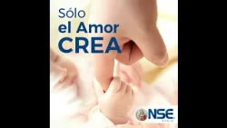La unidad en la Iglesia según Santo Tomás