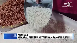SUMSEL HARI INI - KEMARAU MENGUJI KETAHANAN PANGAN SUMSEL