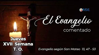 July 30th Gospel 📖 Commentary🕊️