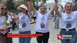 Demand for Priority Mental Health Care During Citizen Walk