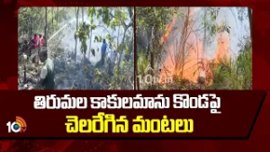 తిరుమల కాకులమాను కొండపై చెలరేగిన మంటలు | Fire Breaks Out on Tirumala Hills Near Tirupati | 10TV News