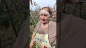 Nonna Rosina, 84 anni, pianta le patate nel suo orto