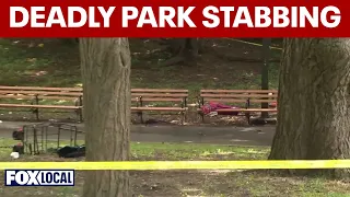 Woman stabbed to death in Brooklyn park