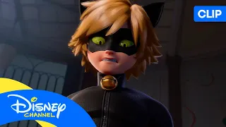 LAS AVENTURAS DE LADYBUG: Amor bajo asedio ❤️ | @disneychannelES