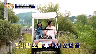 활성산소 타파💥 최진희의 운동법💪 풍경도 즐기고 운동도 되는 레일 바이크💚 TV CHOSUN 260817 방송 | [우리동네 건강왕] 140회 | TV조선