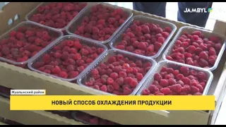 A New Way to Keep Produce Cool