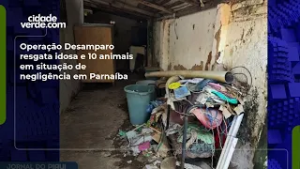 Operação Desamparo resgata idosa e 10 animais em situação de negligência em Parnaíba