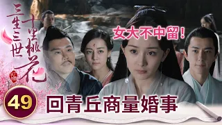 女大不中留！淺淺好不容易回趟青丘 竟只是為了商議婚事 還要將女君位傳給鳳九【三生三世十里桃花】精華 EP49-1 楊冪、趙又廷、迪麗熱巴、高偉光、張智堯 @ctvdrama_classic