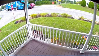 Truck crash Ring camera footage