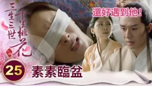 灰姑娘臨盆無人接生還被拒之門外 三皇子一眼認出她是太子心上人 秒替她找醫生【三生三世十里桃花】精華 EP25-1 楊冪、趙又廷、迪麗熱巴、高偉光、張智堯 @ctvdrama_classic