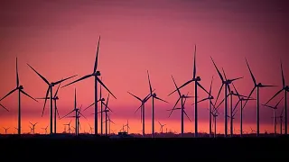 How many birds are killed by offshore wind turbines? Scientists use thermal cameras to find out