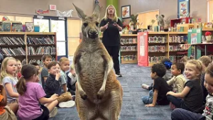 Henderson International School students meet kangaroo, other animals during Nevada Reading Week